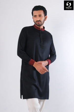 Exclusive Embroidery Panjabi - Image 2